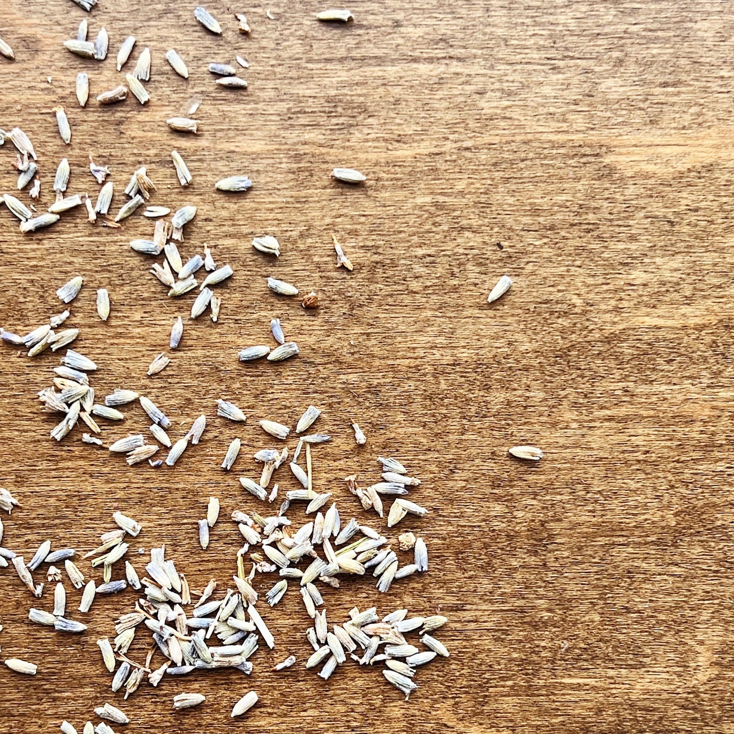 Lavender Body Oil